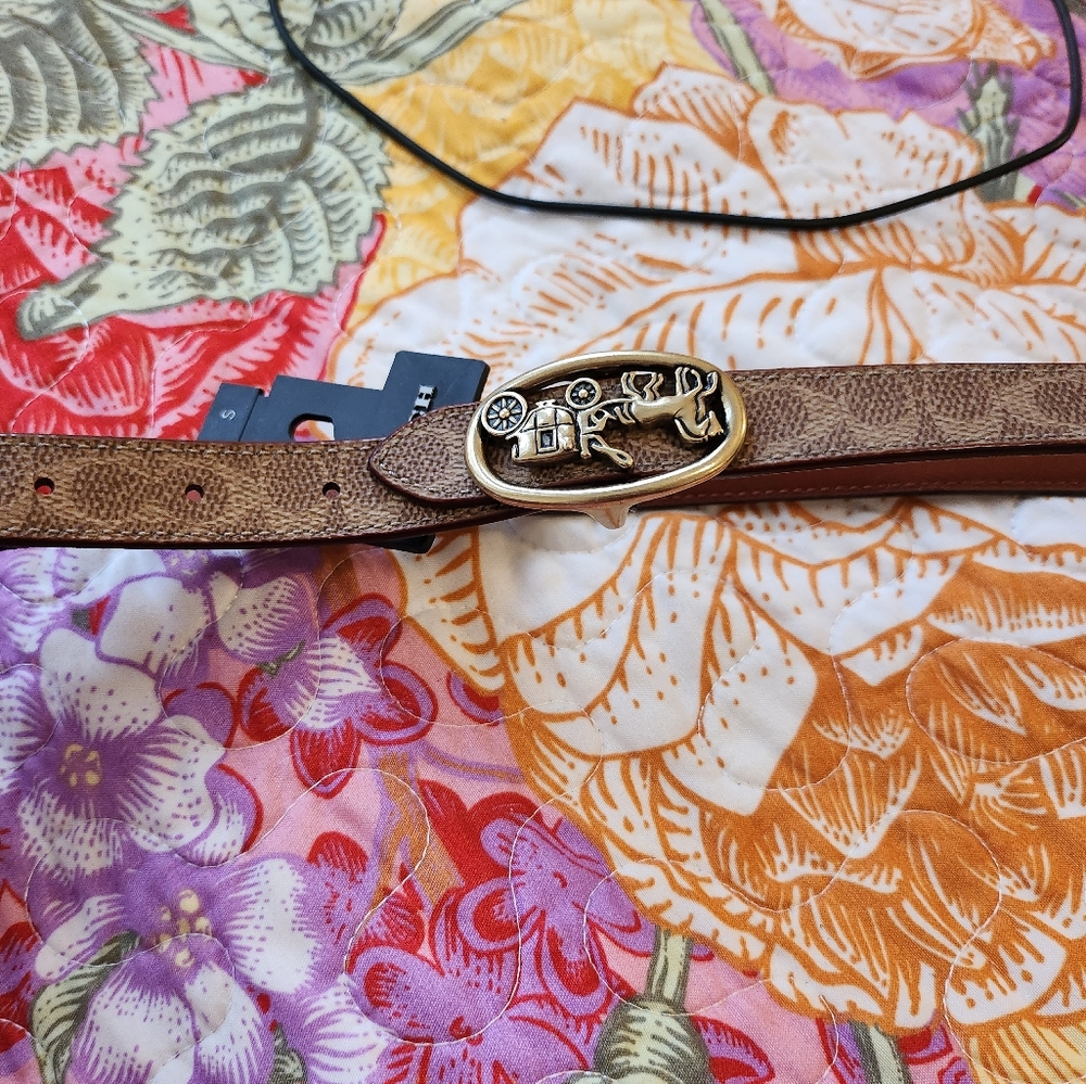 Women small coach signature belt - Picture 6 of 7